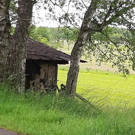 شقة Alte Schule Steinen Steinen (Westerwaldkreis)