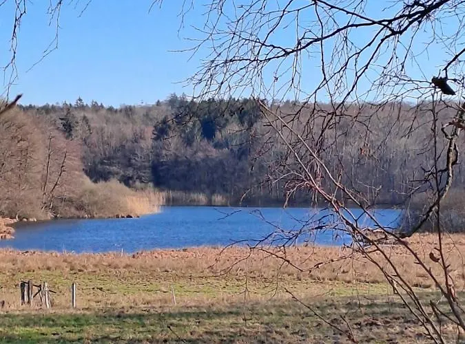 Alte Schule Steinen *